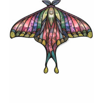 Rainbow Butterfly_1D t-shirts