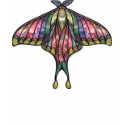 Rainbow Butterfly_1D t-shirts by Curious_Dreams Rainbow Butterfly_1D t-shirts