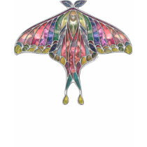 Rainbow Butterfly_1L t-shirts