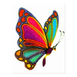 Rainbow Butterfly Post Card