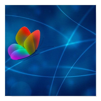 Rainbow Butterfly Posters by vladstudio