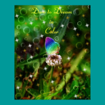 Rainbow Butterfly posters