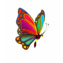 Rainbow Butterfly t-shirts by fstasu54 Rainbow Butterfly t-shirts