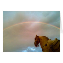 Rainbow Cards