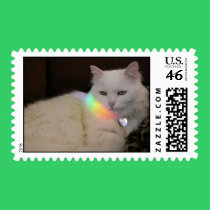 Rainbow Cat postage