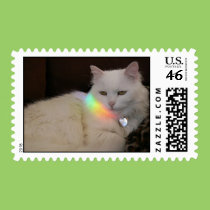 Rainbow Cat postage