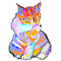 Rainbow Cat t-shirts by paint27 Rainbow Cat t-shirts