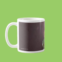 Rainbow Caught mugs