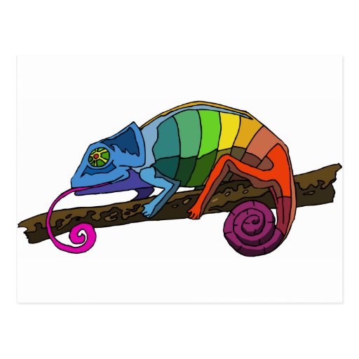 Rainbow Chameleon Post Card