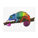 Rainbow Chameleon Post Card