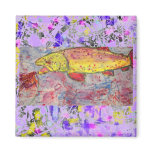 rainbow chasing fly drip magnets
