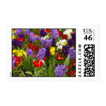 Rainbow Collection Stamp