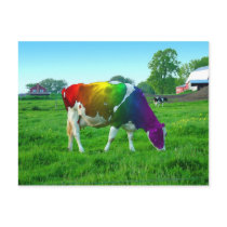 Rainbow Cow Post Cards