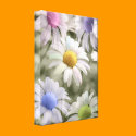 Rainbow Daisies Canvas Print canvas prints