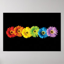 Rainbow Daisies Print