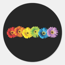 Rainbow Daisies Sticker