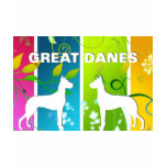 Rainbow Danes Shirt
