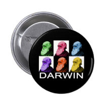 Rainbow Darwin button buttons