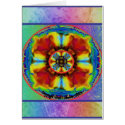 Rainbow Dolphin Chakra cards by shantifla Rainbow Dolphin Chakra cards
