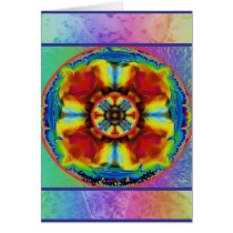 Rainbow Dolphin Chakra cards