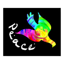 Rainbow Dove Peace Poster