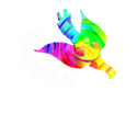 Rainbow Dove t-shirts
