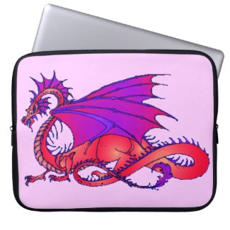 Rainbow Dragon Laptop Computer Sleeves
