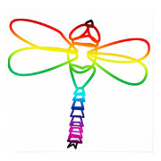 Rainbow Dragonfly Poster print