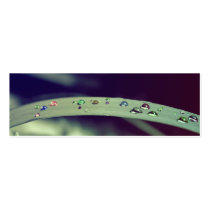 Rainbow Drops Bookmark Business Card