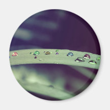 Rainbow Drops Magnet