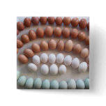 Rainbow Eggs for Rare Breed Hens buttons