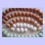 Rainbow Eggs for Rare Breed Hens cards