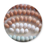 Rainbow Eggs for Rare Breed Hens magnets