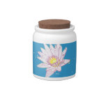 Rainbow Etching Lotus jar Candy Jar