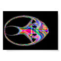 Rainbow Fish posters