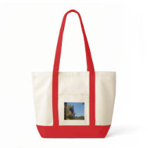 rainbow flag bag