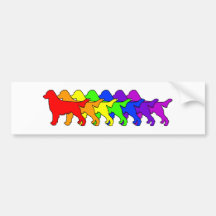 Rainbow Flatcoat Bumper Stickers