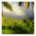 Rainbow-Hakipuu posters by TurnAgain Rainbow-Hakipuu posters