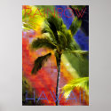 Rainbow Hawaii posters