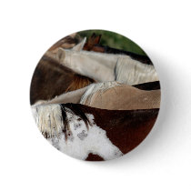 Rainbow Horses Pinback Button