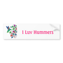 Rainbow Hummingbird Bumper Stickers