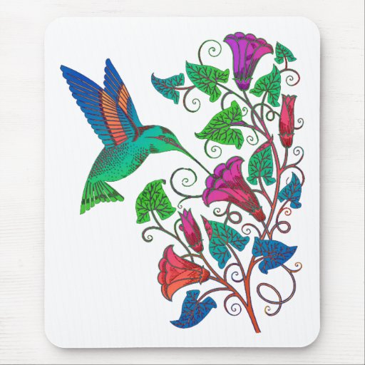 Rainbow Hummingbird Mousepad