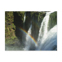Rainbow @ Iguazu Falls Postcard