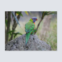 Rainbow II postcards