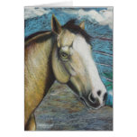 Rainbow in arena cropped greeting cards