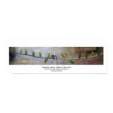 Rainbow Jungle Parrot Sanctuary posters