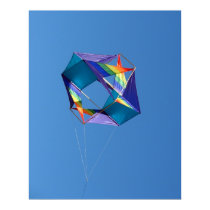 Rainbow Kite posters