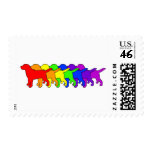 Rainbow Labrador Retrievers postage