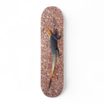 Rainbow Lizard skateboards