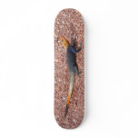 Rainbow Lizard Skate Boards